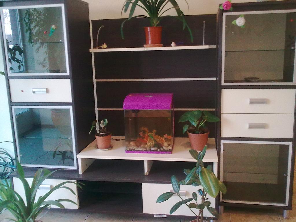 Hostel Raddus-Jss Taszkent Zewnętrze zdjęcie